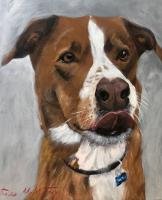Dog Portrait IV by Rosa McMurtray