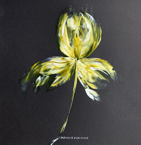 'Yellow Iris' by Adriana Blackard