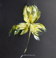 'Yellow Iris' by Adriana Blackard