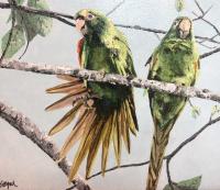 2 Parrots w/ frame by Jerrold Siegal