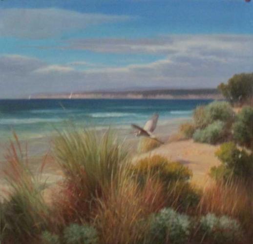 Beach by Costello