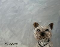Dog Portrait II by Rosa McMurtray