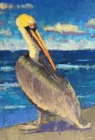 "Pelican In Profile" by Shannon Meadows