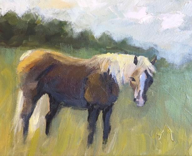 "Summer Pony" by Dawn Calhoun