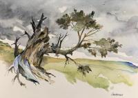 "Tree Series 4" by John Wulfmeyer