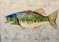 "Spotted Bass" by Gia Rose