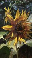 "Sunflower" by Kun Lee