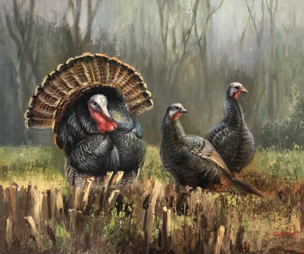 Turkeys by Other Artist