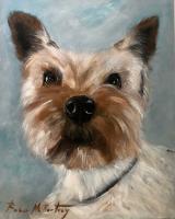 Dog Portrait V by Rosa McMurtray