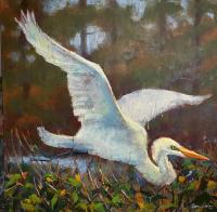 "Egret In Flight" by Shannon Meadows