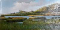 Marsh by Dan Austine