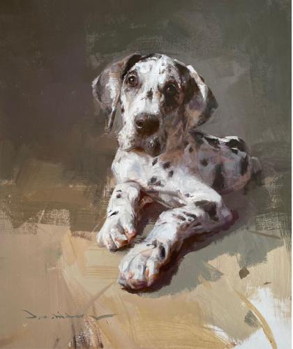 Dalmation by Other Artist