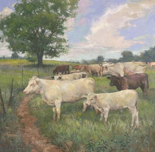 "Cows at Adairsville Farm" by Shane McDonald